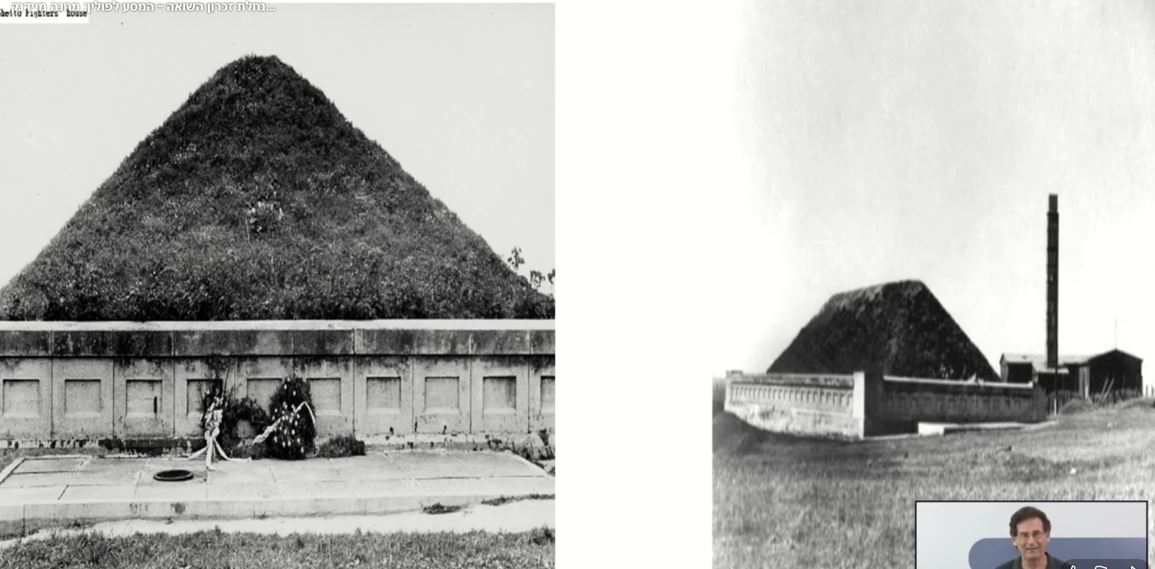 Various vegetation on dirt pile.JPG