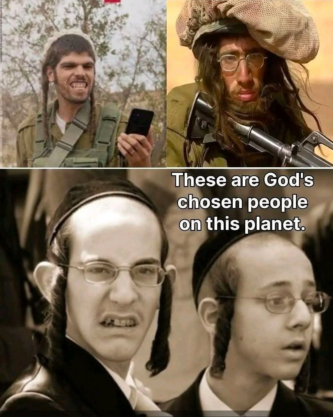 Genepool.jpg