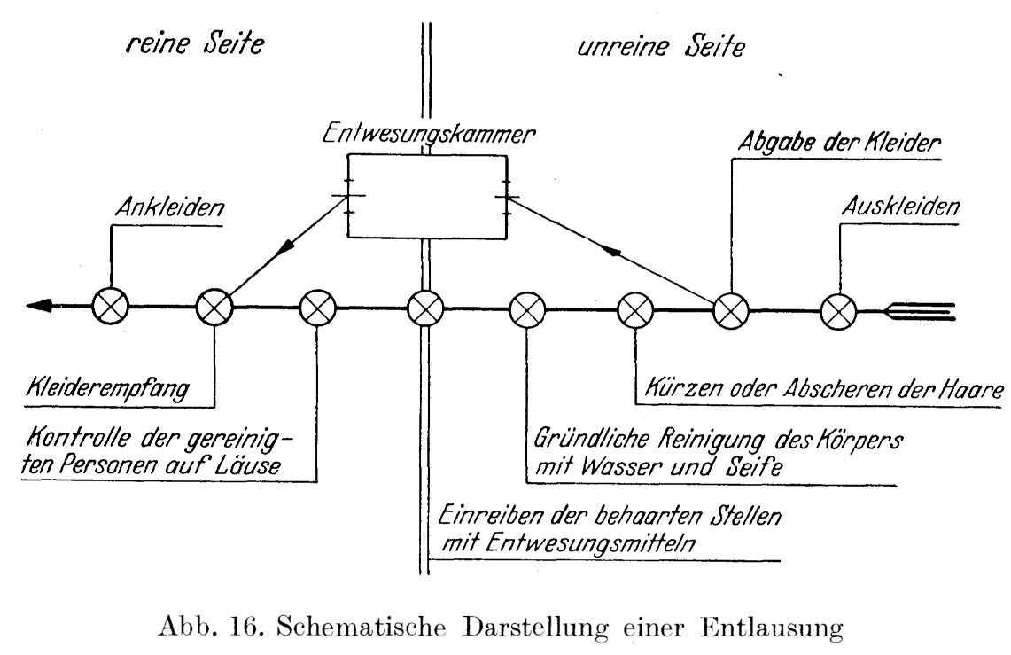 abstract diagram for delousing by Doetzer, 1943, p.104.jpg
