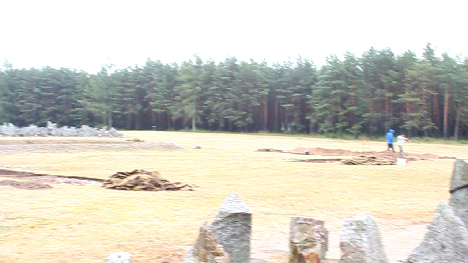 Treb02.jpg