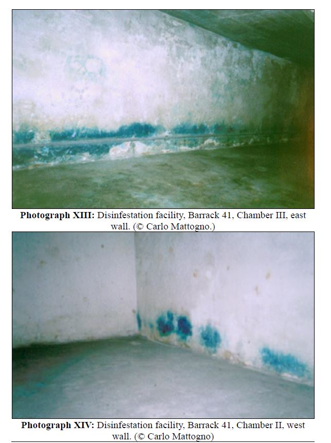 B2 blue staining.JPG