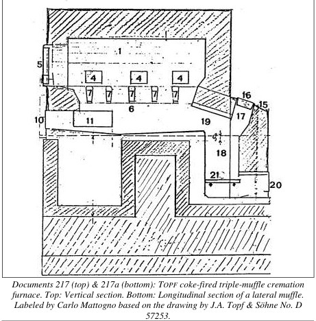 Crema II drawing.jpg