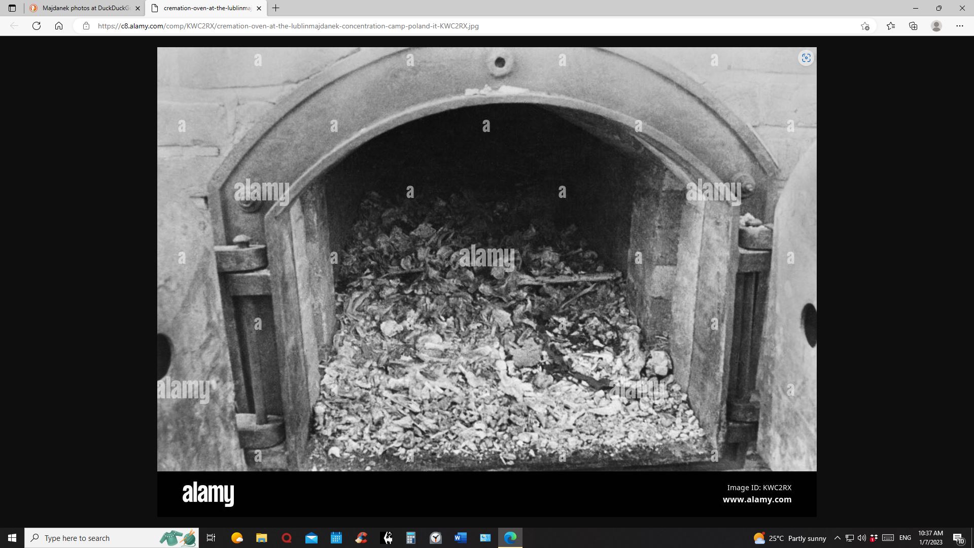 inside maj oven.JPG