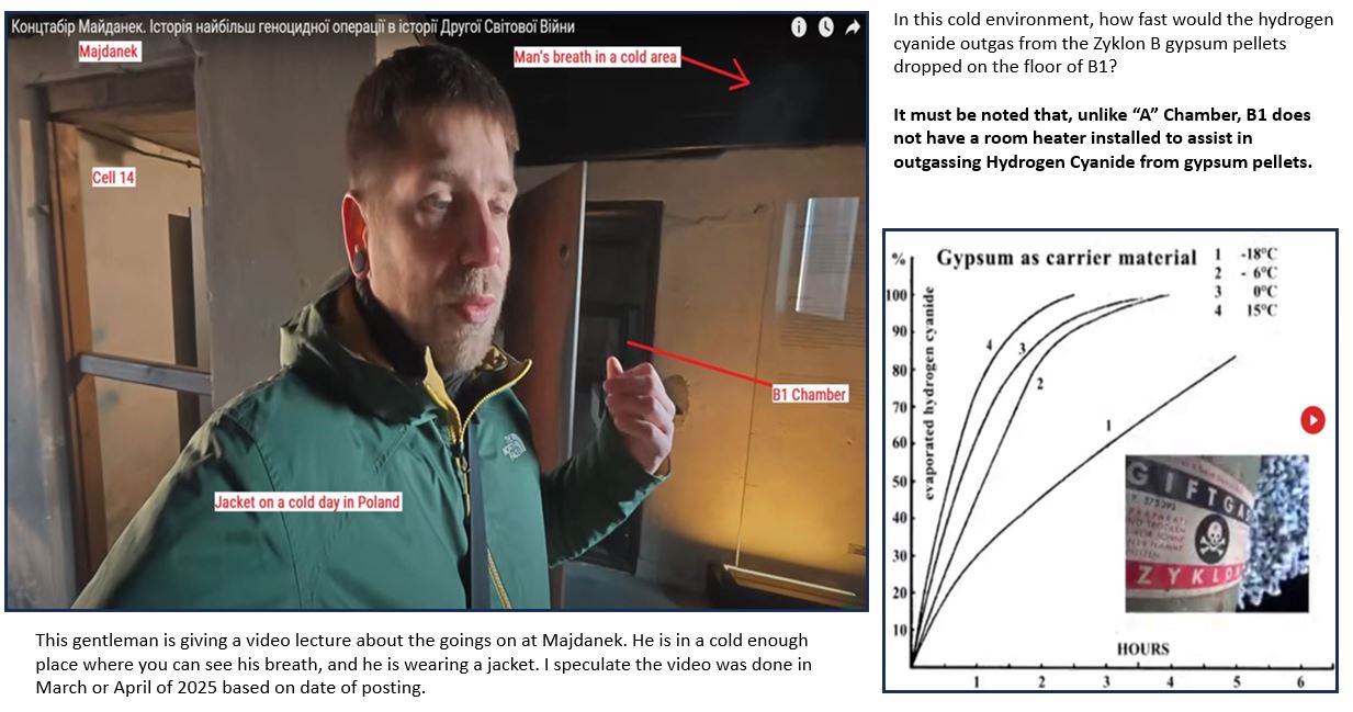 Zyklon and cold days at Majdanek.JPG