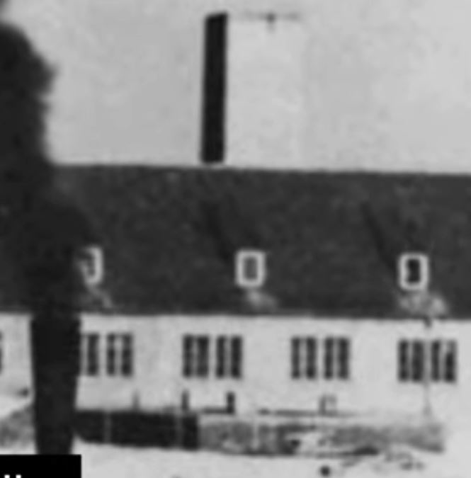 they come up well.JPG